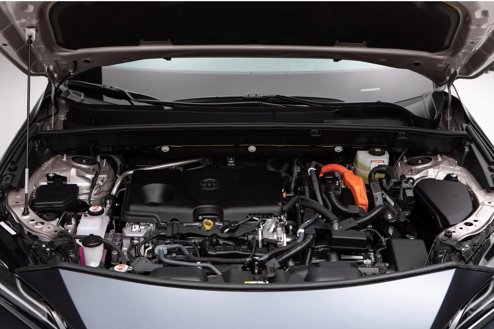 Venza Reborn
