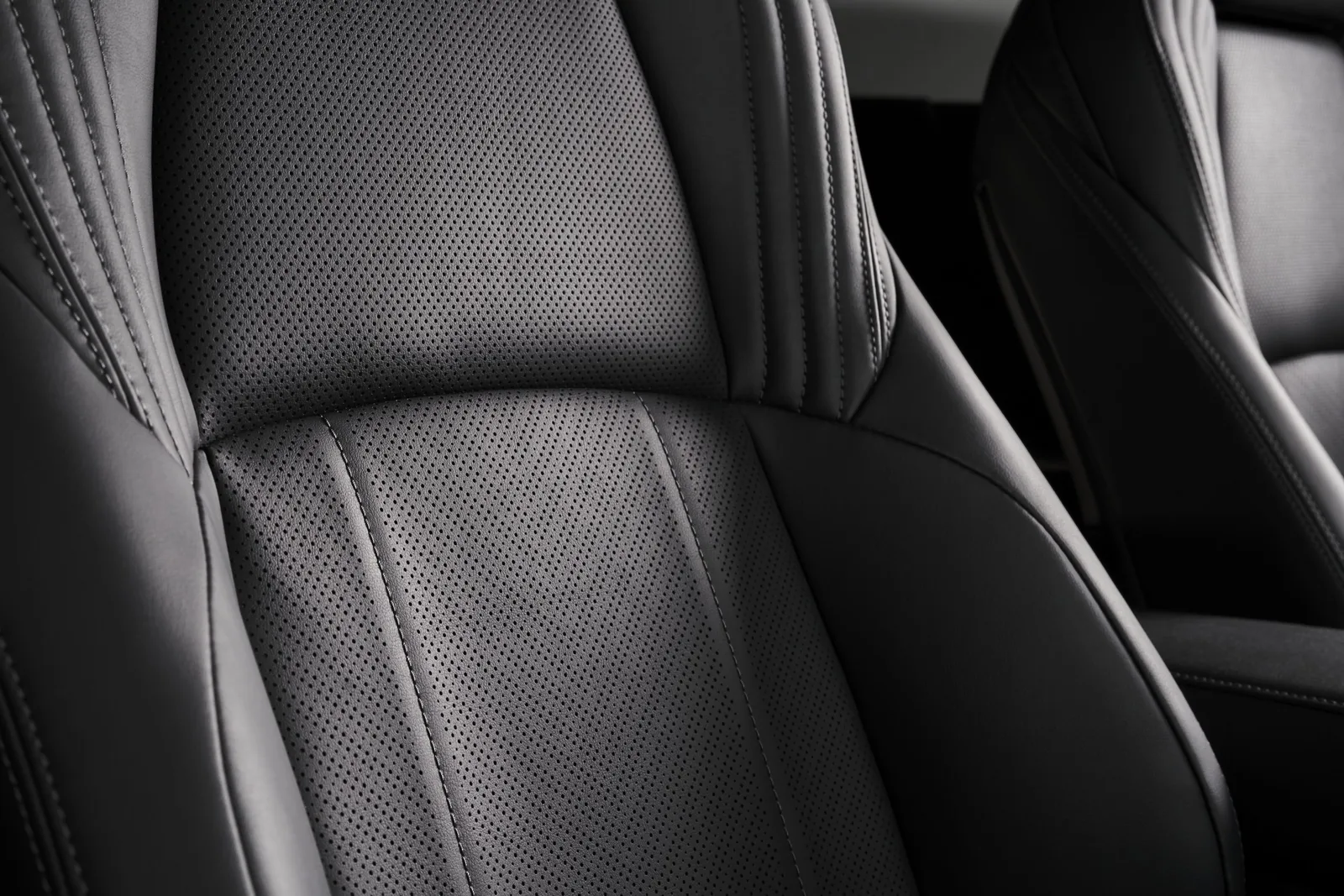 Venza Reborn