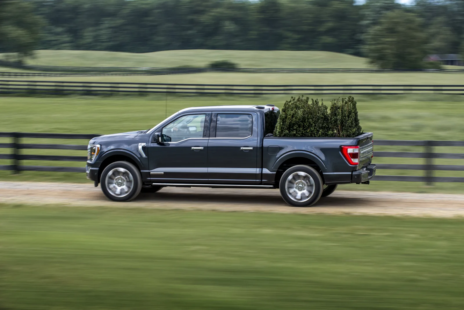 Revolutionary or Evolutionary....the NEW F-150