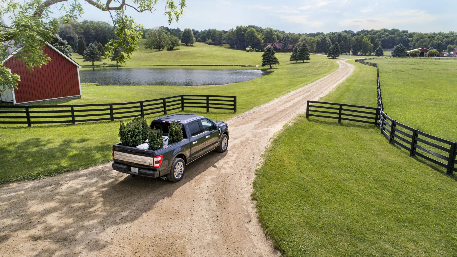 Revolutionary or Evolutionary....the NEW F-150