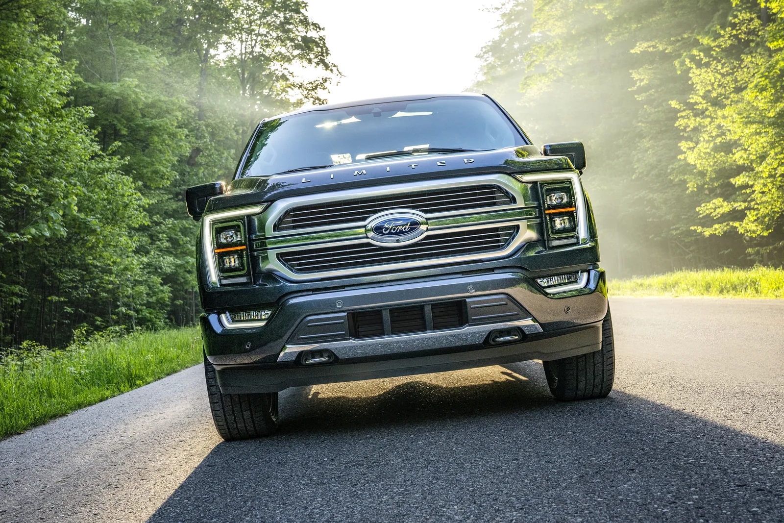 Revolutionary or Evolutionary....the NEW F-150