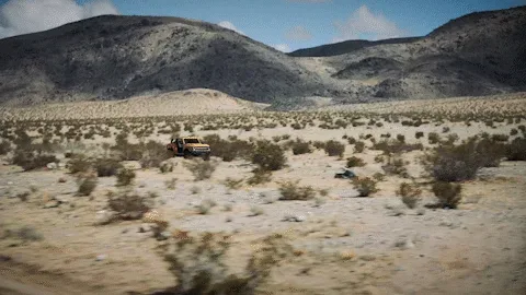 The Bronco Returns!