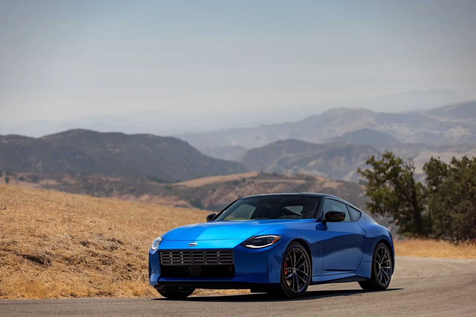These Zs Won't Put You to Sleep