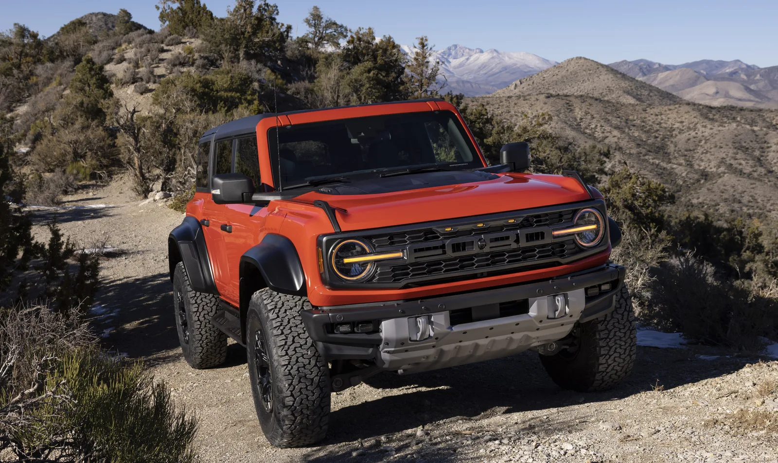 Raptor All the Things
