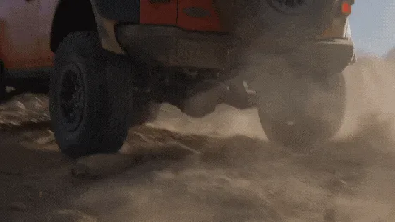 Raptor All the Things