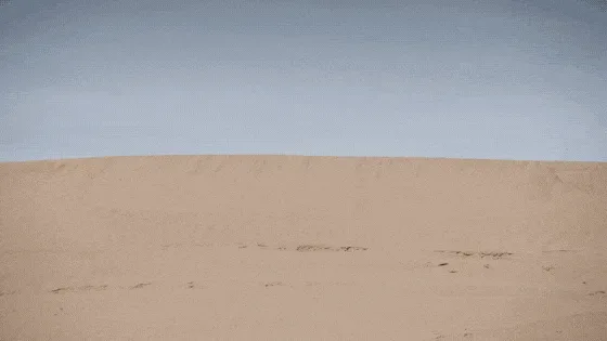 Raptor All the Things