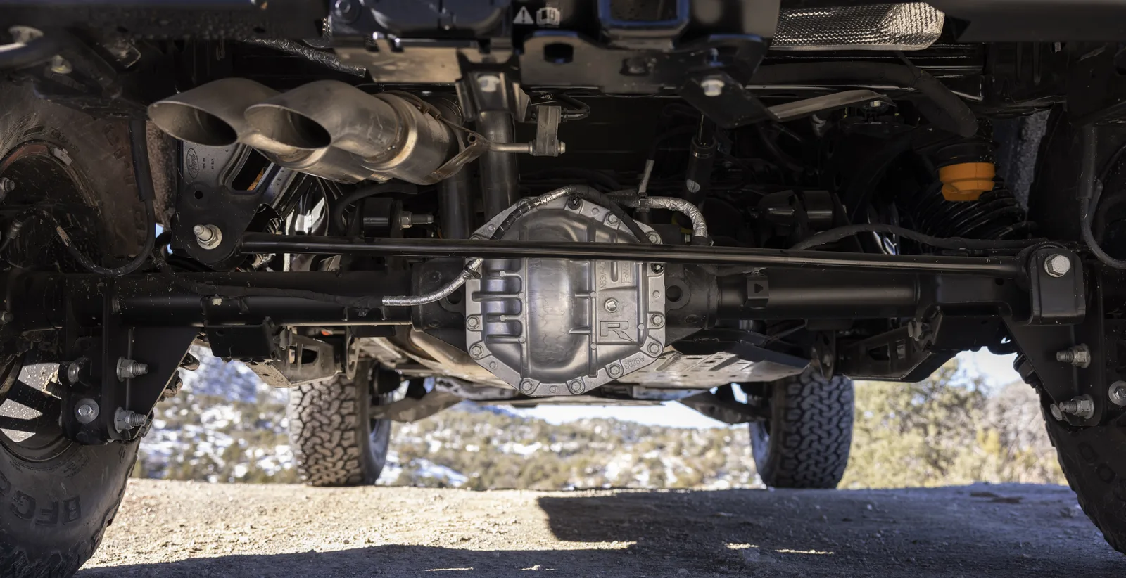 Raptor All the Things