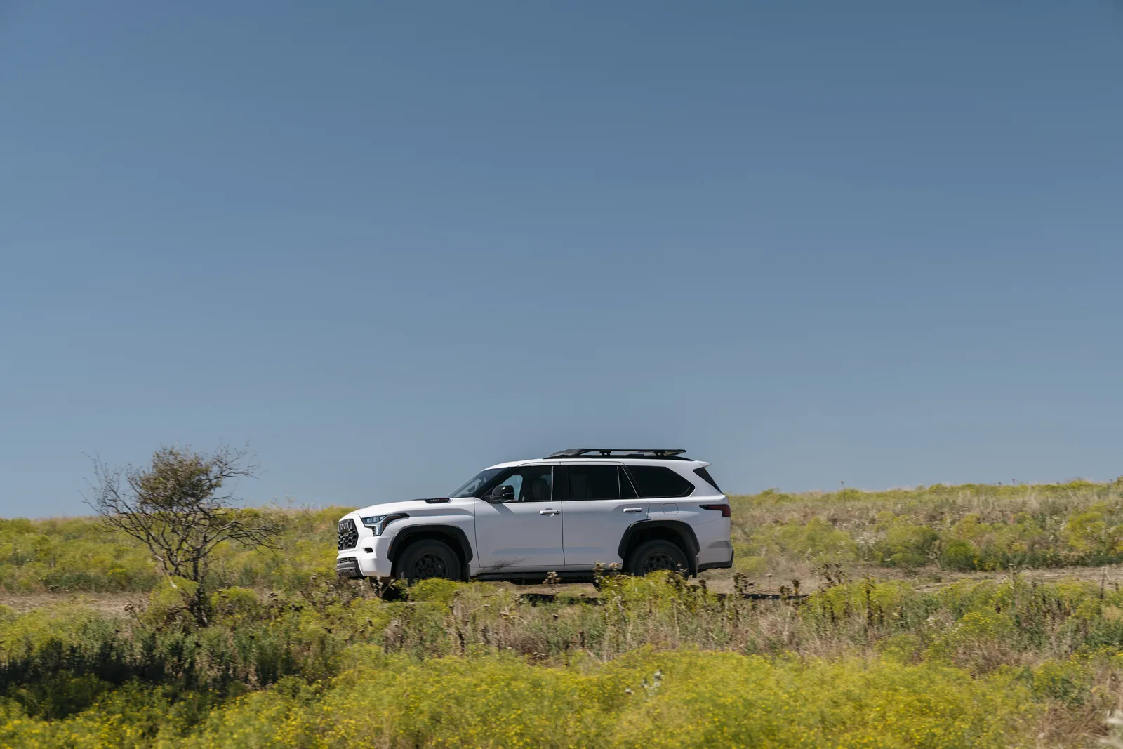 2023 Toyota Sequoia TRD Pro Off-Road Quick Take