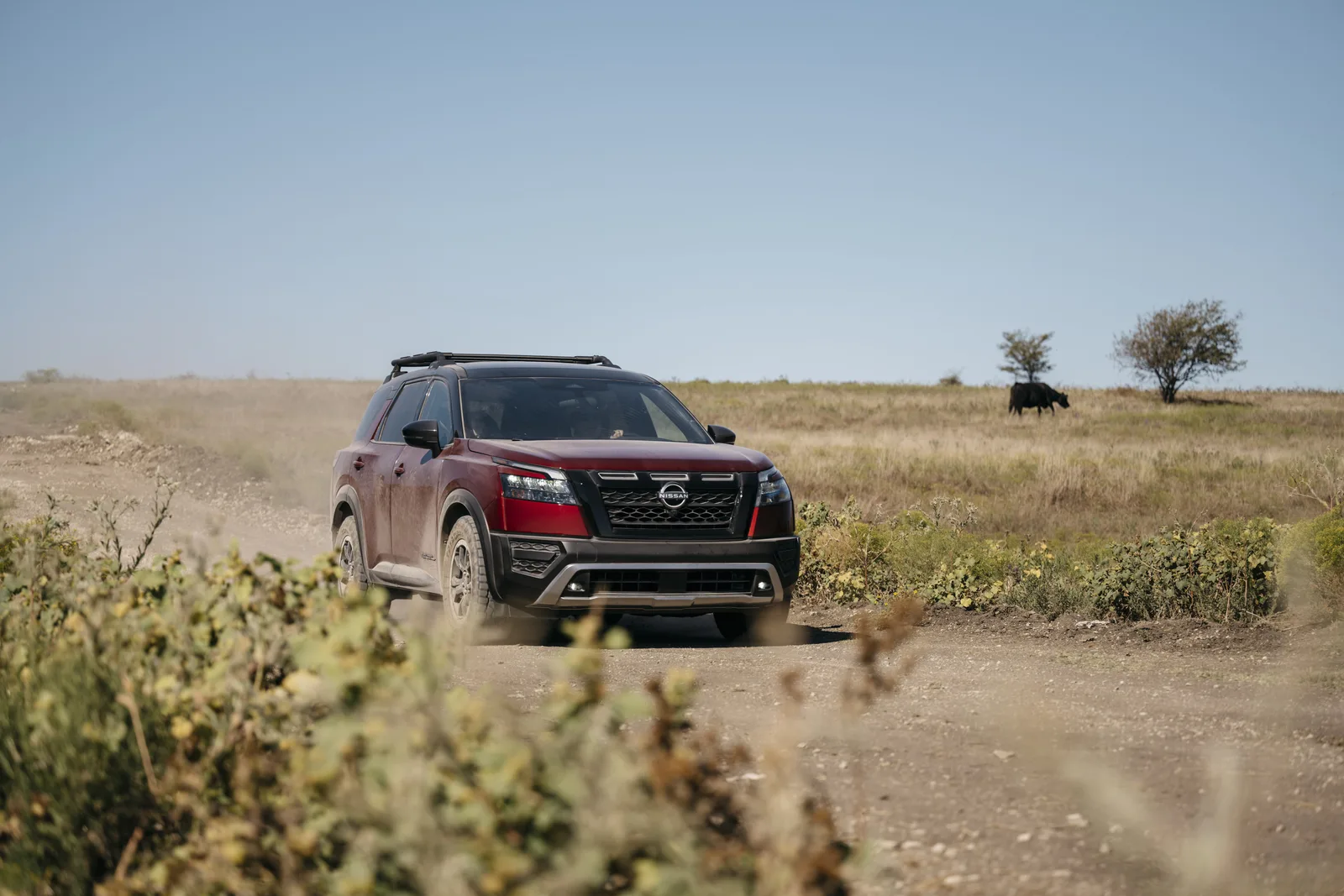 First Dirt in the 2023 Nissan Pathfinder Rock Creek
