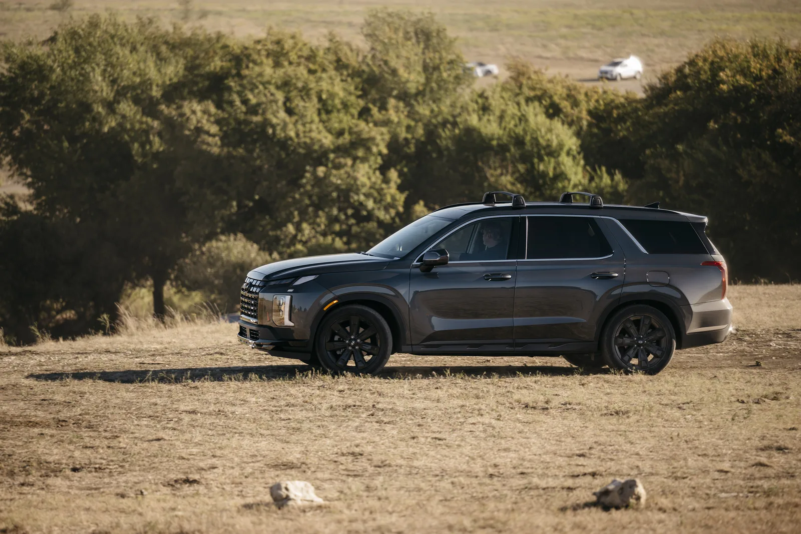 Sibling Rivalry? 2023 Hyundai Palisade XRT