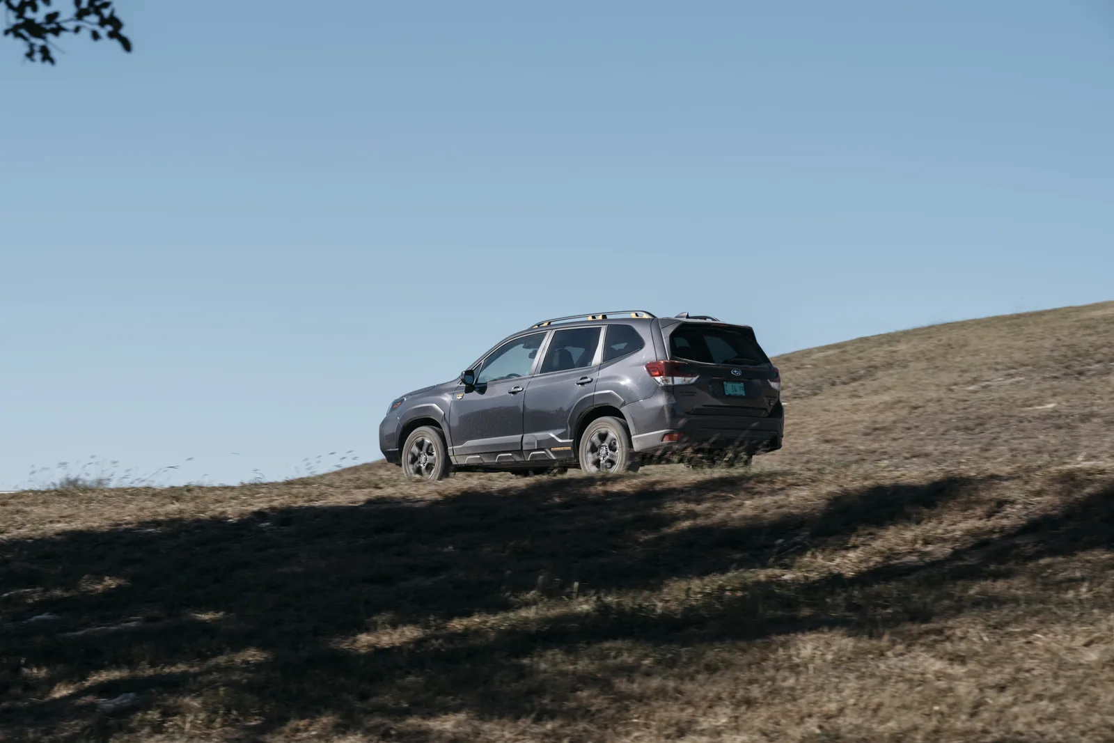 Off-Road Quick Take in the 2022 Subaru Forester Wilderness