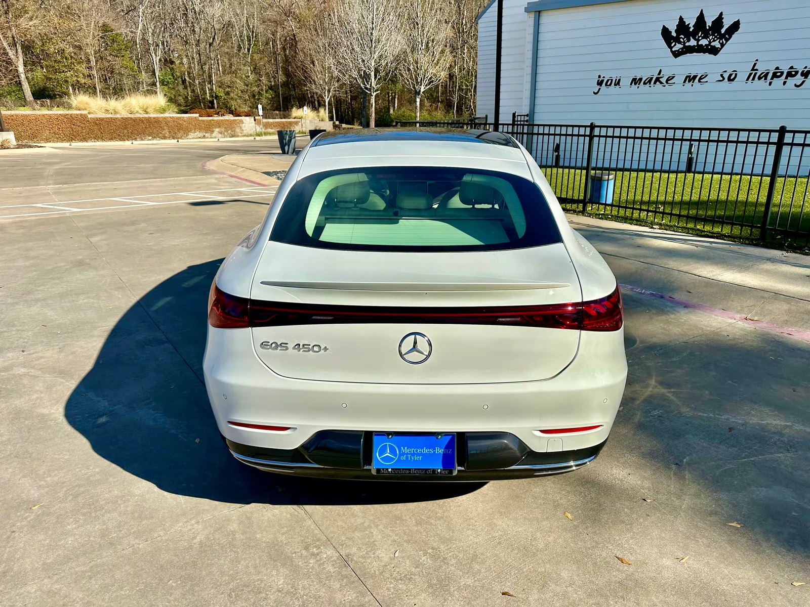 2023 Mercedes-Benz EQS 450+: More Luxurious than a Tesla Model S