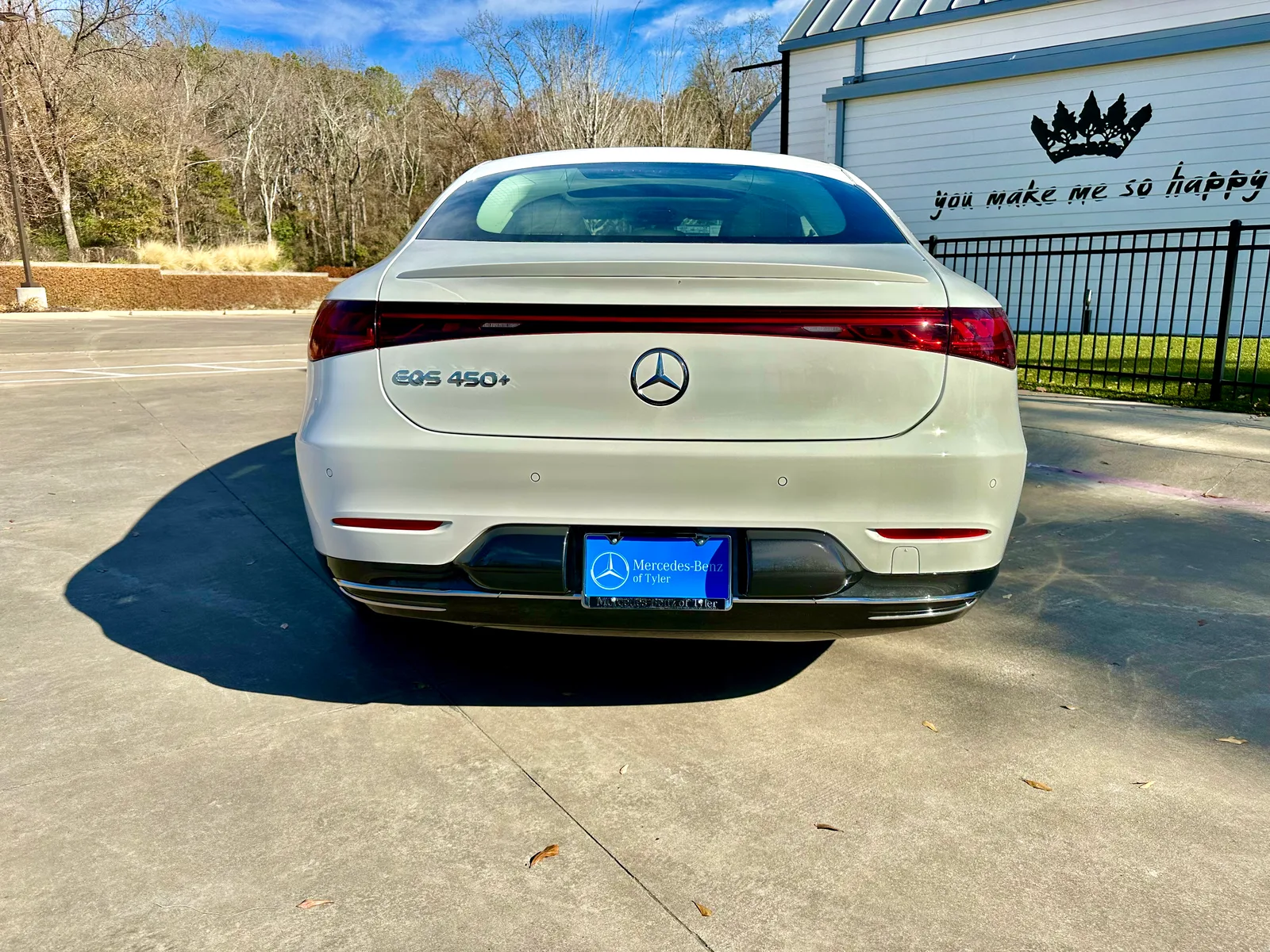 2023 Mercedes-Benz EQS 450+: More Luxurious than a Tesla Model S