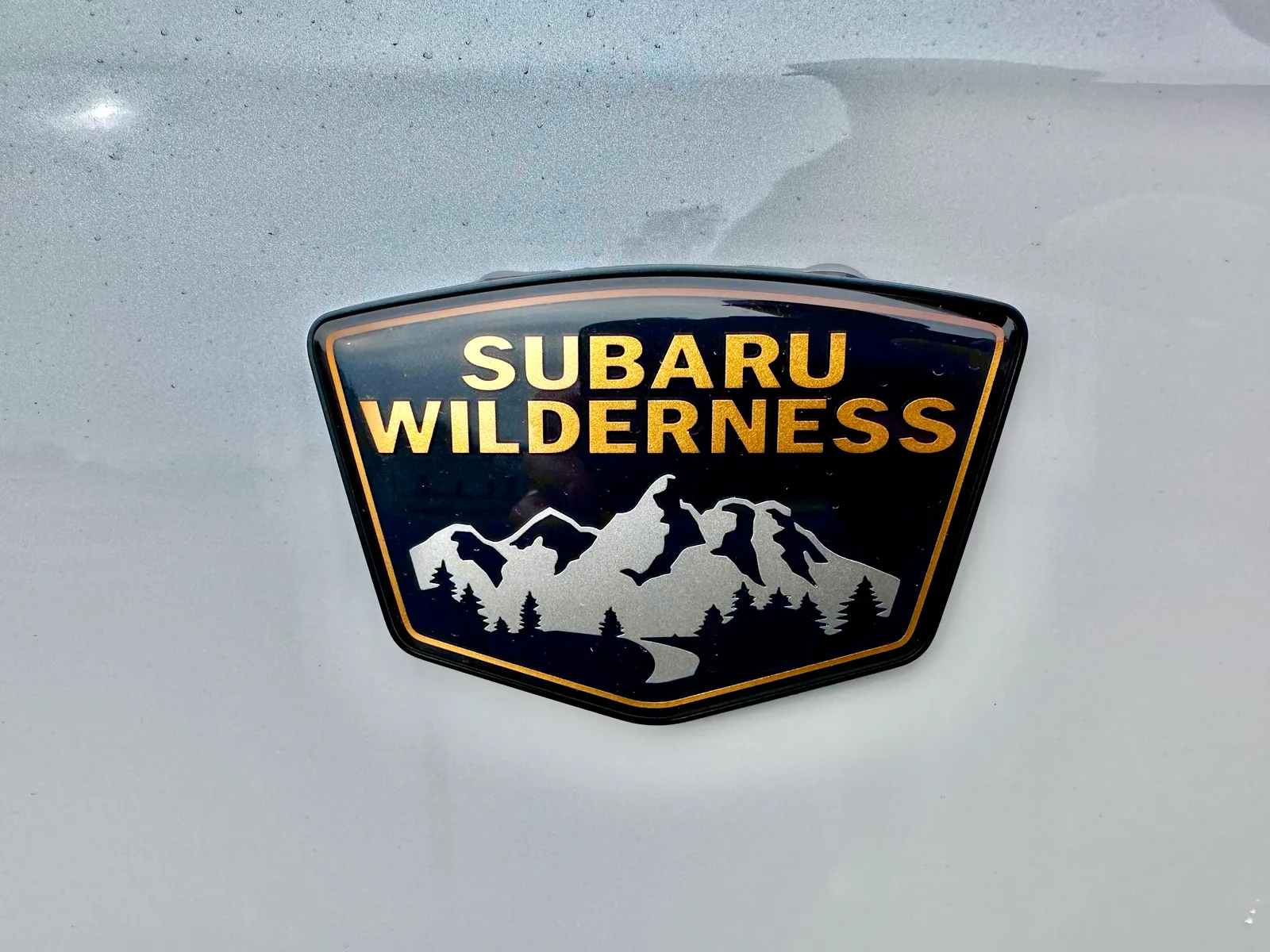 2023 Subaru Outback Wilderness: The ULTIMATE SUV Replacement