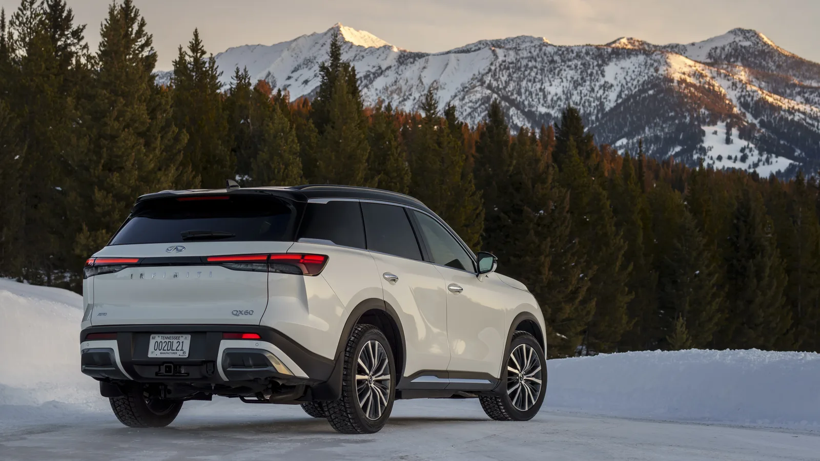 2023 Infiniti QX60: Holli Has Some Fun in Big Sky Montana