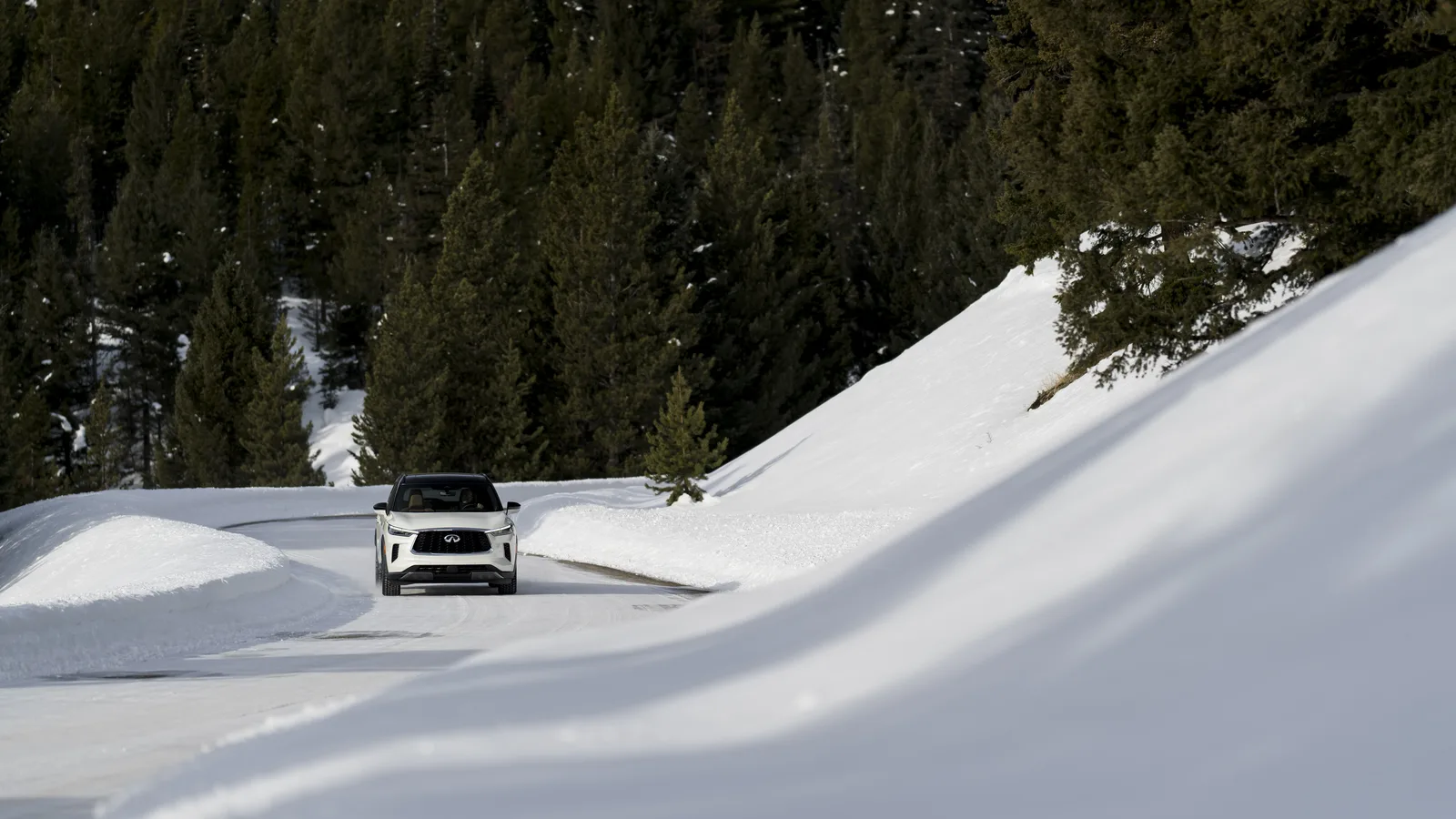 2023 Infiniti QX60: Holli Has Some Fun in Big Sky Montana