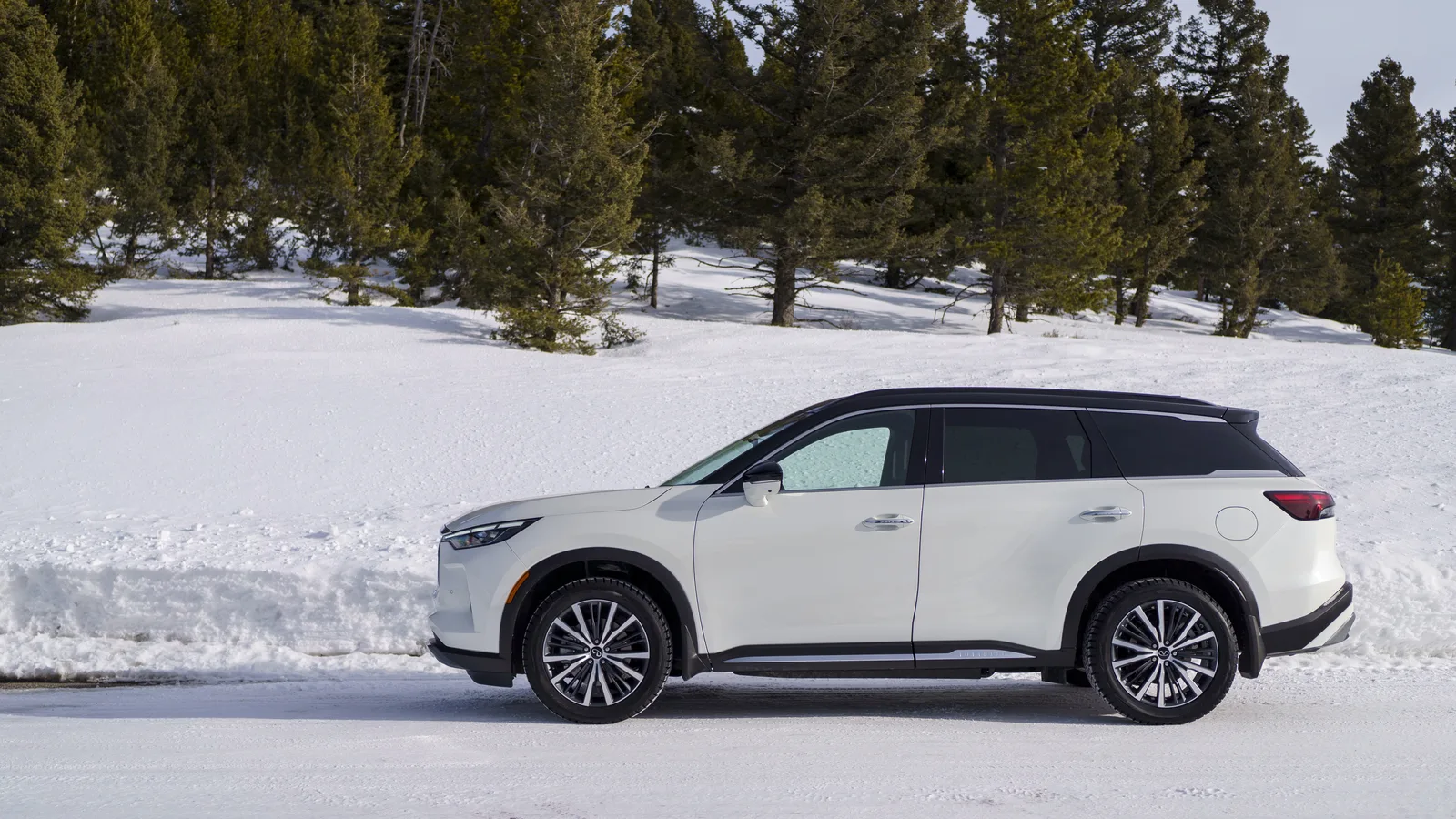 2023 Infiniti QX60: Holli Has Some Fun in Big Sky Montana