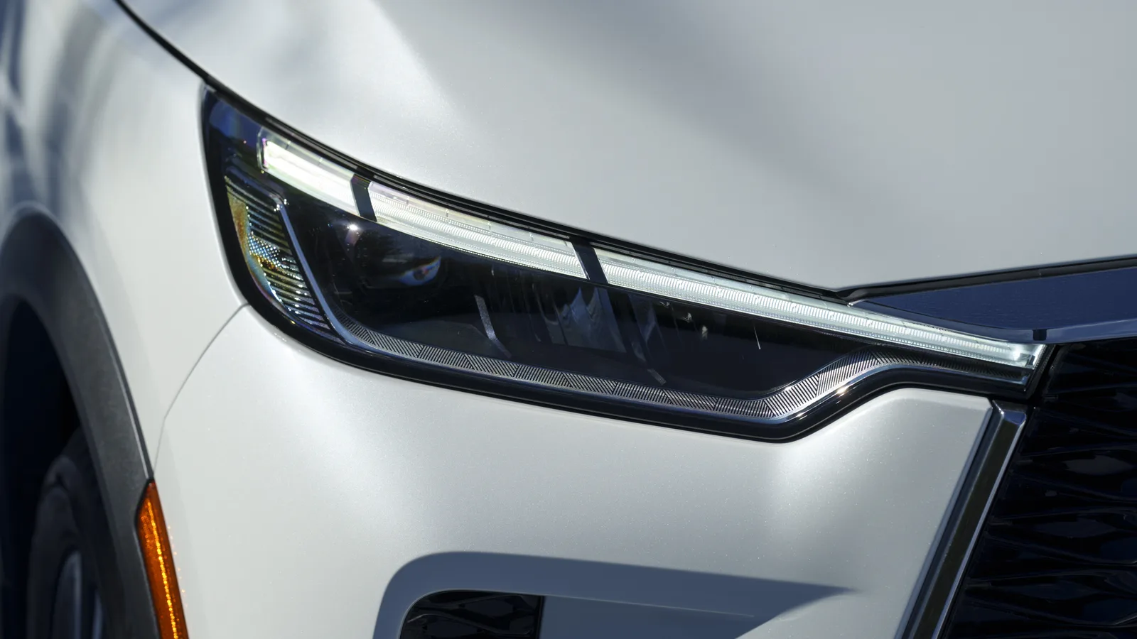 2023 Infiniti QX60: Holli Has Some Fun in Big Sky Montana