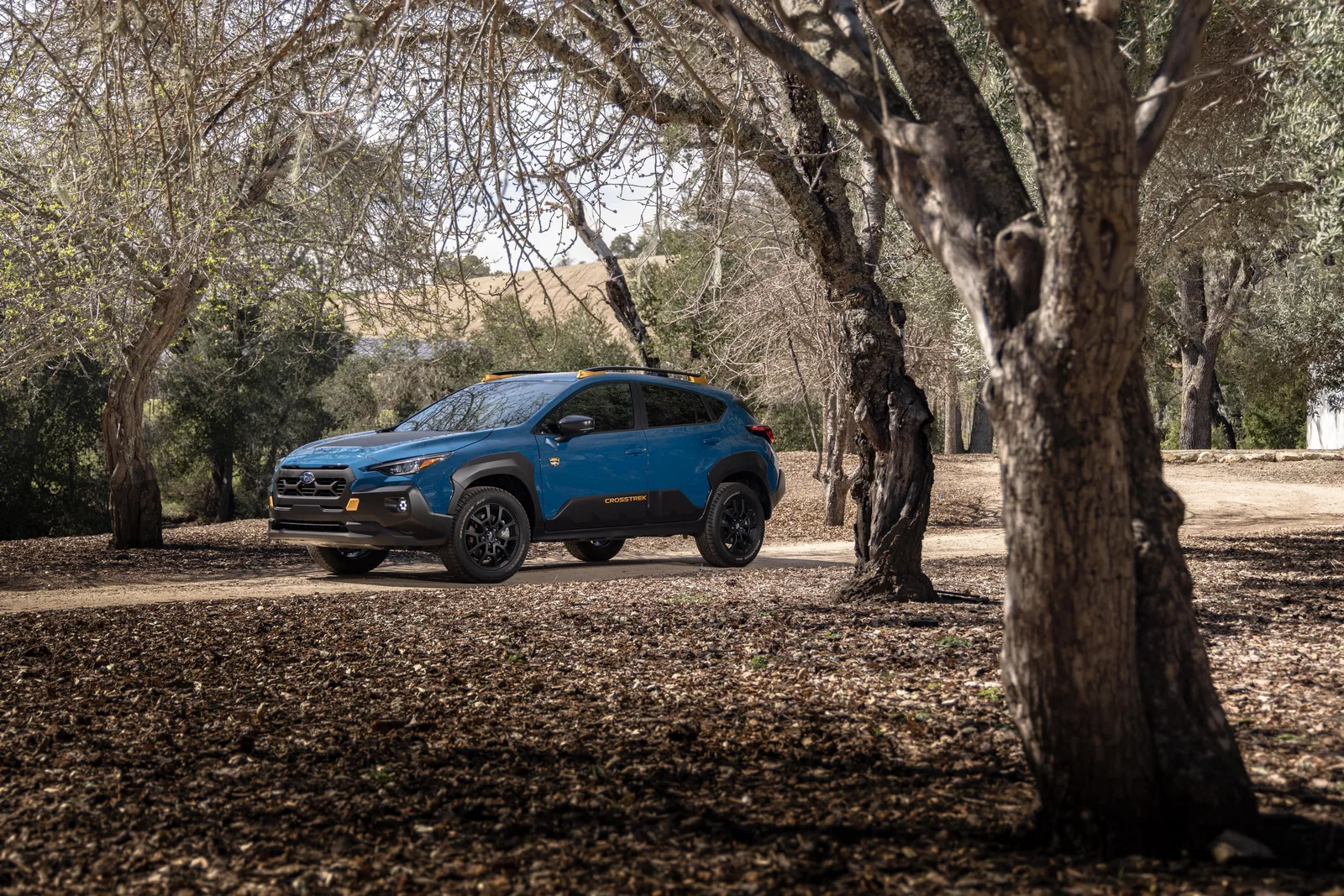 2024 Subaru Crosstrek Wilderness: Give the People What They Want