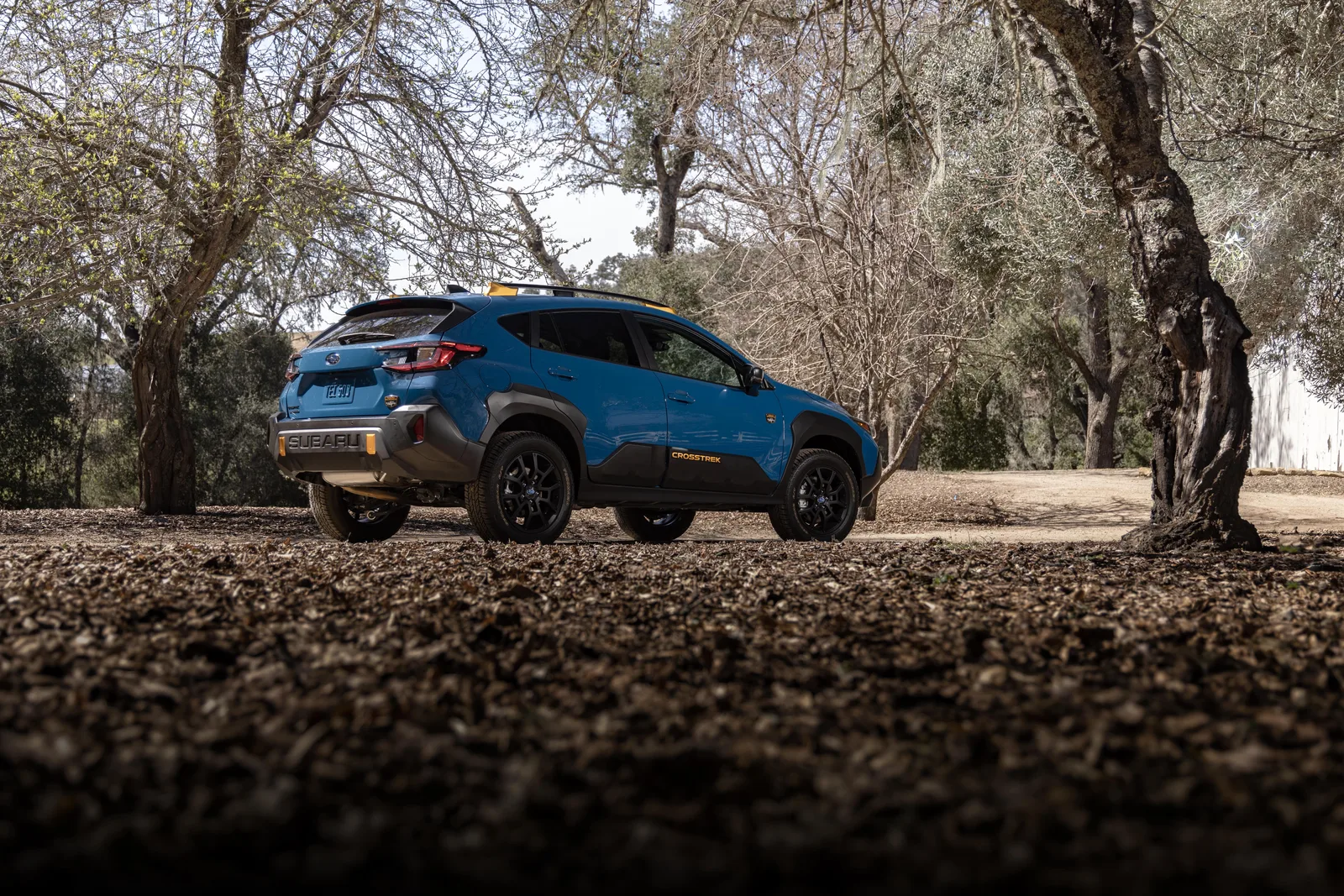 2024 Subaru Crosstrek Wilderness: Give the People What They Want