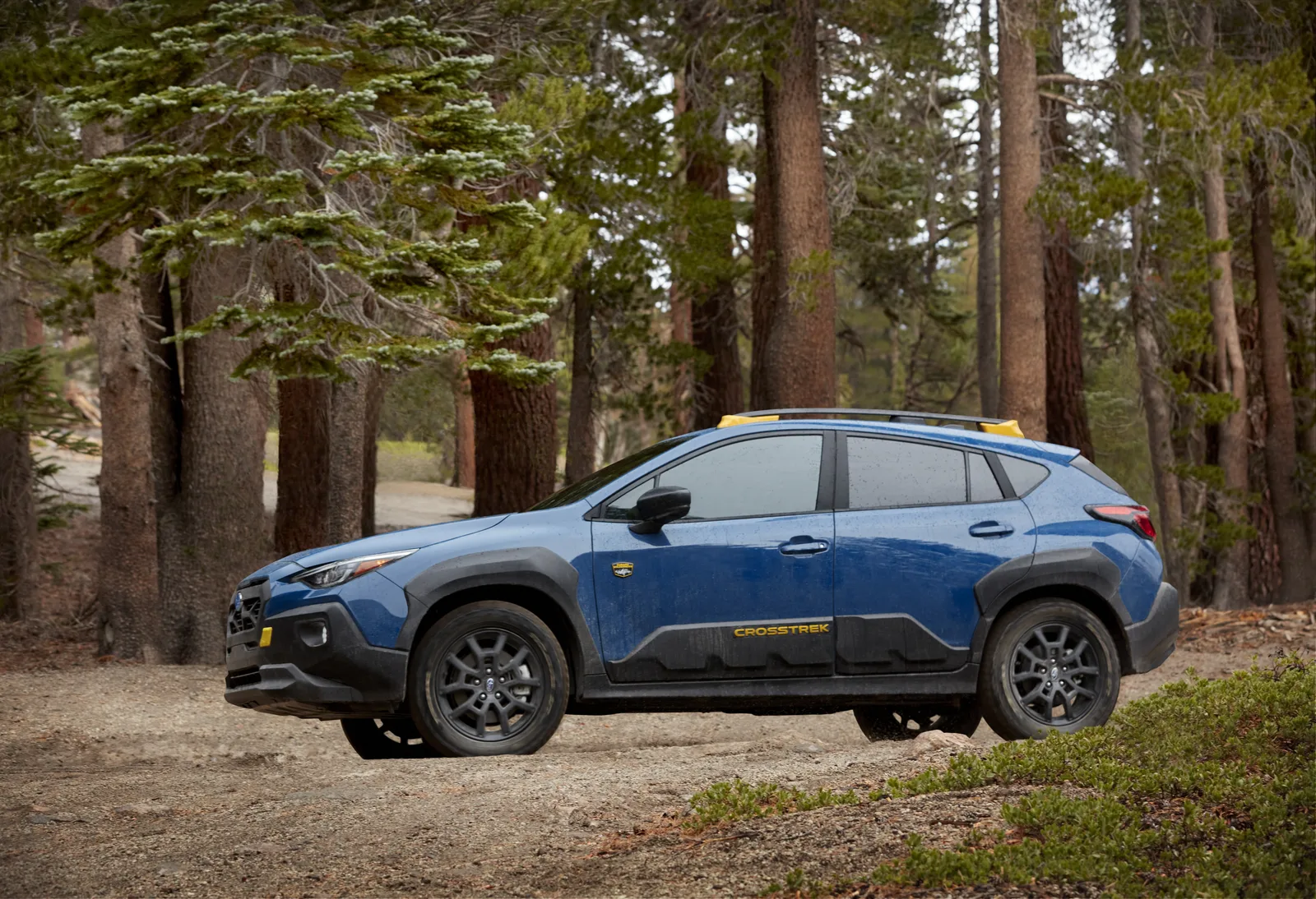 2024 Subaru Crosstrek Wilderness: Give the People What They Want