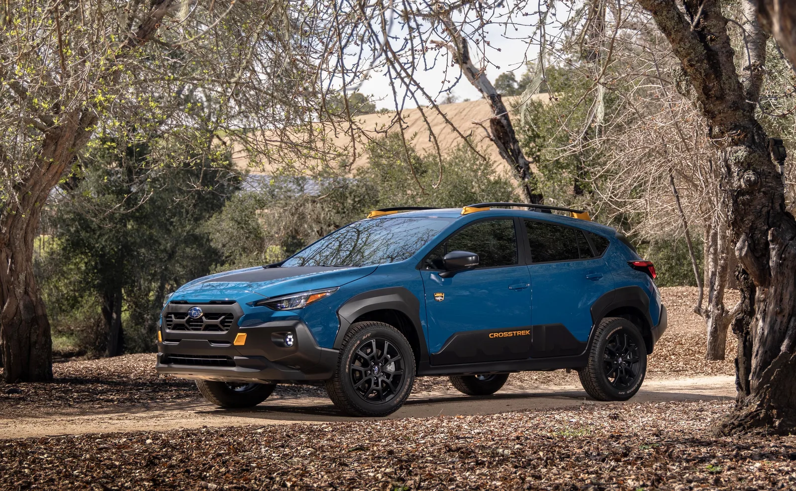 2024 Subaru Crosstrek Wilderness: Give the People What They Want