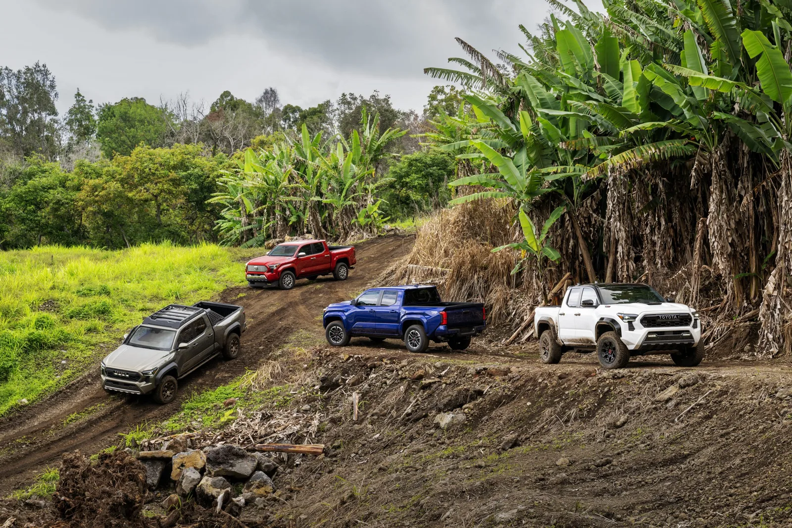 Leaks Lead to a Premature Reveal of the Brand New 2024 Toyota Tacoma