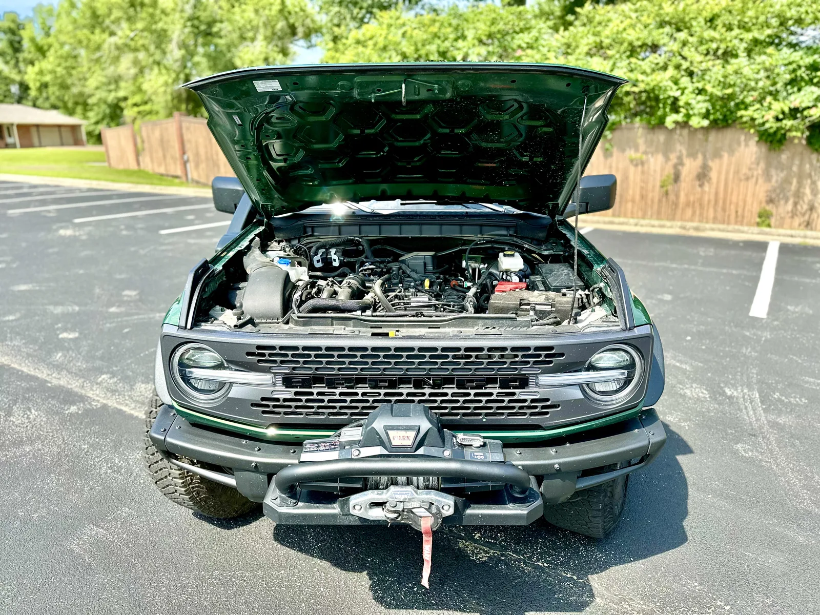 2022 Ford Bronco Everglades: Florida Man's Bronco - A Deep Dive & Off-Road Demo