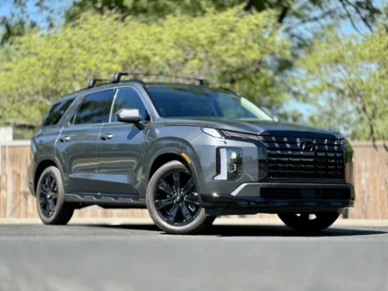 Is the 2024 Hyundai Palisade the Perfect Vehicle for a Texas-Sized Road Trip?