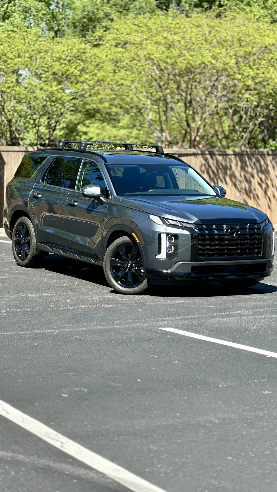 Is the 2024 Hyundai Palisade the Perfect Vehicle for a Texas-Sized Road Trip?