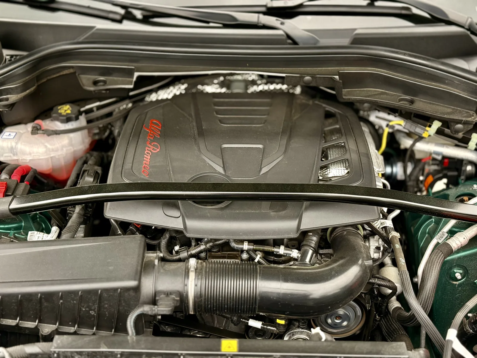 2025 Alfa Romeo Stelvio Veloce: Image by Holli Fourniquet