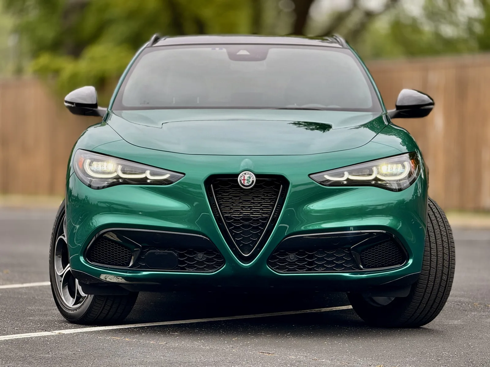 2025 Alfa Romeo Stelvio Veloce: Image by Holli Fourniquet