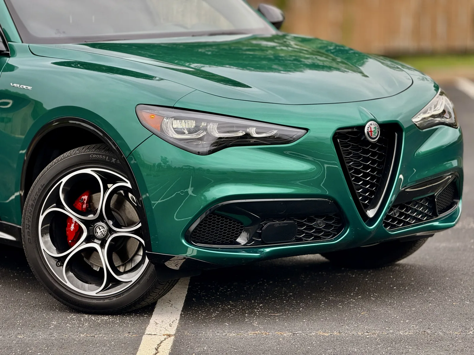 2025 Alfa Romeo Stelvio Veloce: Image by Holli Fourniquet