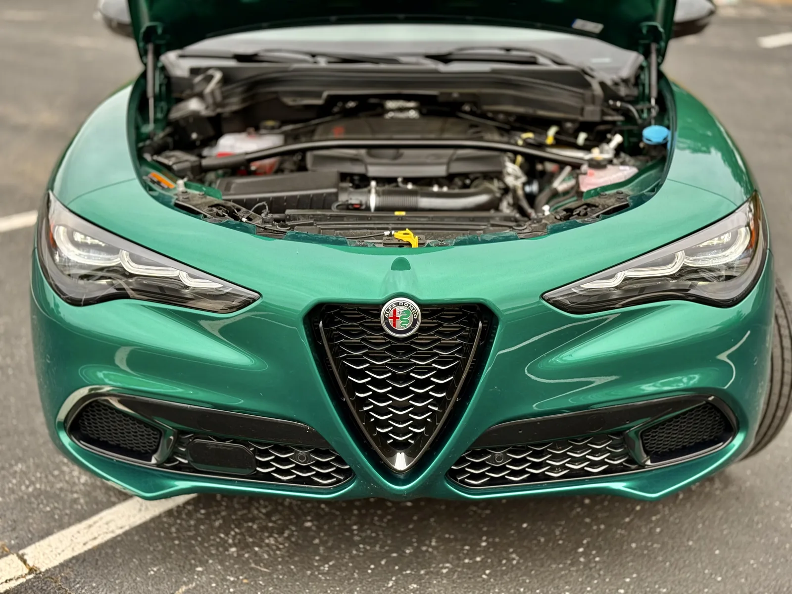 2025 Alfa Romeo Stelvio Veloce AWD Review: The Italian Stallion of Sporty SUVs