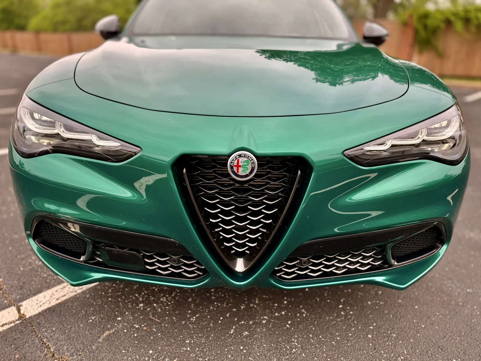 2025 Alfa Romeo Stelvio Veloce AWD Review: The Italian Stallion of Sporty SUVs