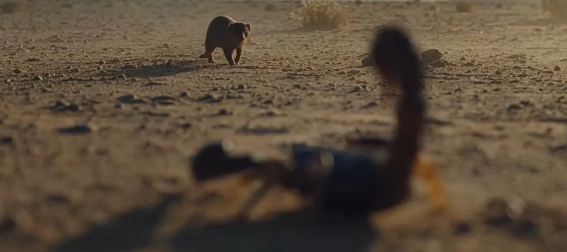 Mongoose and scorpion face off in GM's 8.3L Duramax diesel teaser