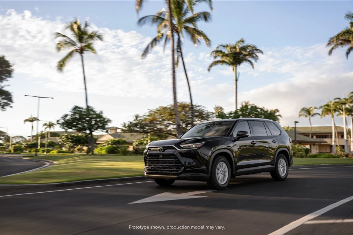 XLE in Blueprint driving a curvy road lined with palm trees