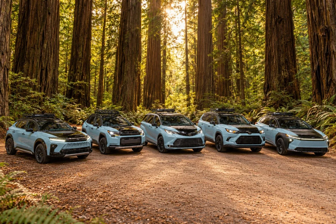 Toyota Woodland concepts lined up on a forest trail